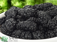 黑桑葚干能直接吃吗,黑桑葚干什么人不能吃