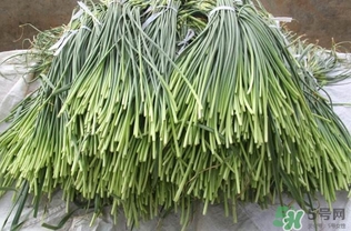 蒜苔属于酸性还是碱性,蒜是碱性还是酸性的 蒜苔属于酸性还是碱性,蒜是碱性还是酸性的