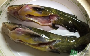 黄辣丁市场价多少钱一斤,黄辣丁多少钱一斤2021