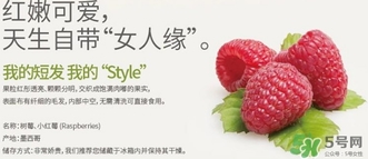 树莓可以放冰箱吗,树莓可以冷冻保存吗