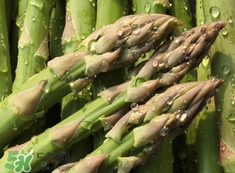 芦笋如何保存,芦笋的保鲜和储藏方法