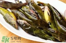 黄辣丁怎么养,黄辣丁的正确杀法