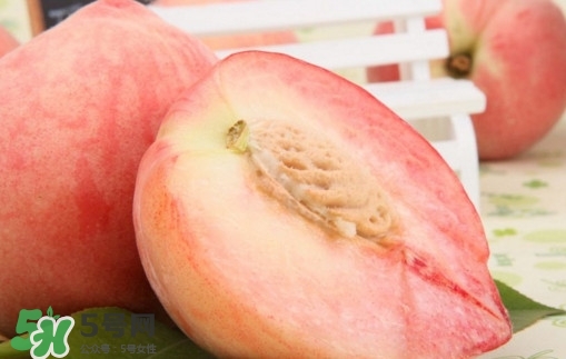 水蜜桃什么时候熟?,水蜜桃在几月份成熟 水蜜桃什么时候熟?,水蜜桃在几月份成熟