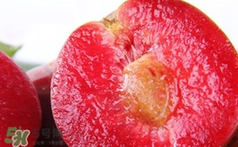 三华李什么时候上市的,三华李上市时间