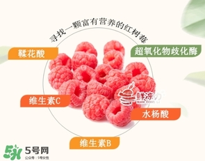 树莓可以生吃吗,树莓直接吃可以吗