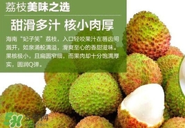 妃子笑什么时候成熟,妃子笑哪里产的