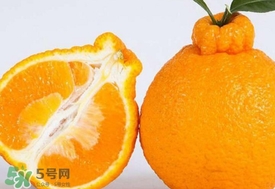 水果丑八怪价格,丑八怪价格多少钱一斤 水果丑八怪价格,丑八怪价格多少钱一斤