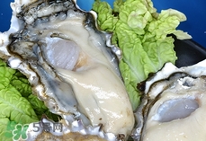 男人多吃生蚝可以补精子吗?,男人吃生蚝多久能补精效果