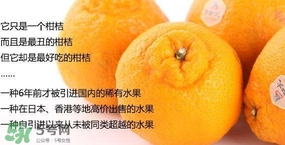 丑苹果是转基因的吗,水果有转基因的吗