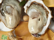 吃生蚝能补肾吗,吃生蚝补肾壮阳吗