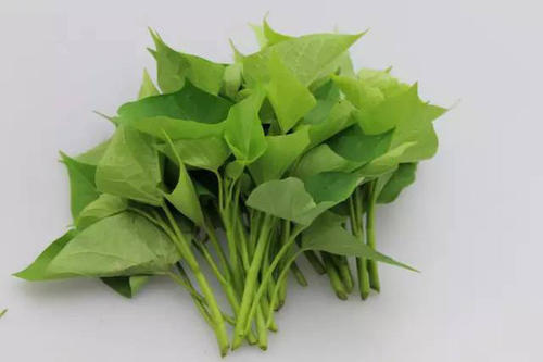 使用84消毒液的注意事项有哪些(84消毒液的注意事项)