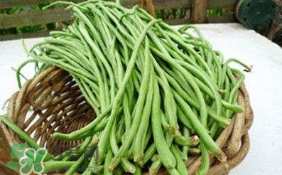豇豆可以和鸡蛋一起吃吗?,豆浆和鸡蛋能一起吃吗