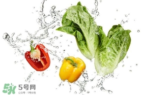 夏天蔬菜怎么保鲜运输,冬天蔬菜怎样保鲜 夏天蔬菜怎么保鲜运输,冬天蔬菜怎样保鲜