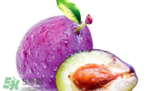 乌梅直接吃可以吃吗,新鲜乌梅怎么吃