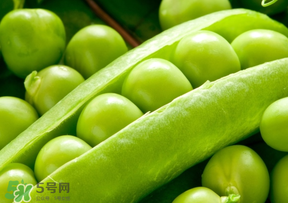 豌豆可以放冰箱冷藏吗,豌豆怎么放冰箱保存
