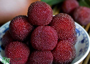 杨梅为什么有虫子可以吃吗,杨梅为什么有虫子?