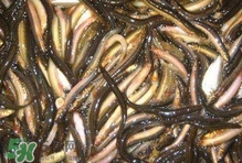 泥鳅什么季节有,泥鳅什么季节有籽