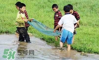 怎样养泥鳅,如何家养泥鳅