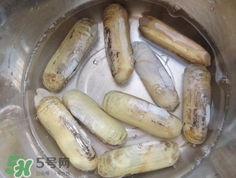 怎么样让蛏子吐沙,如何让蛏子把沙吐干净 怎么样让蛏子吐沙,如何让蛏子把沙吐干净