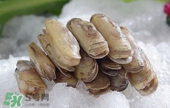 蛏子死了是什么样子的图片,蛏子死了是什么样子的