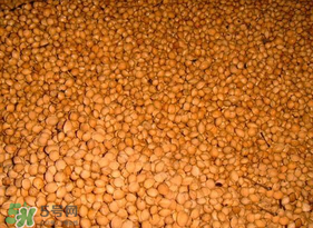 樱桃籽怎么种小盆栽能结果吗,樱桃籽怎么种植方法 樱桃籽怎么种小盆栽能结果吗,樱桃籽怎么种植方法