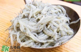 银鱼是面条鱼吗,银鱼和面条鱼是一种吗 银鱼是面条鱼吗,银鱼和面条鱼是一种吗