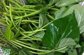 苕尖不能和什么一起吃,藕尖不能和什么一起吃