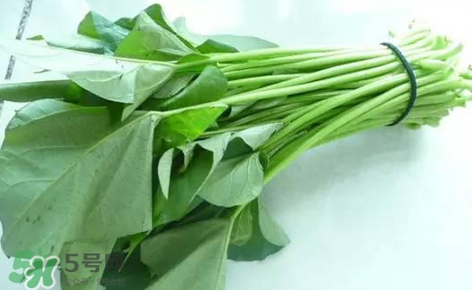 苕尖怎么炒不发黑又好吃,苕尖怎么炒好吃