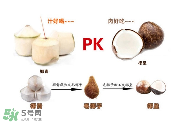 椰子怎么打开椰子的正确打开方法,怎样打开椰子