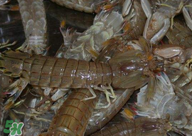 虾爬子什么地方不能吃,吃爬虾不能吃什么