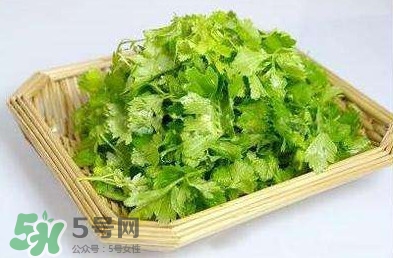 芹菜叶能吃吗?,芹菜的叶子怎么吃