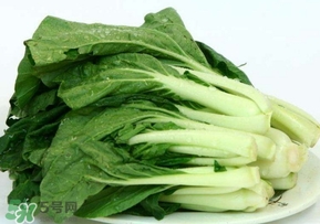 鸡毛菜怎么做好吃,鸡毛菜是什么菜图片