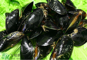 淡菜什么人不能吃,淡菜什么人不适合吃