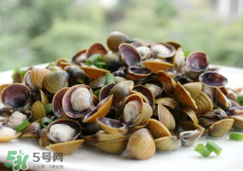 蚬子不能和什么一起吃吗,蚬子不能和什么一起吃香哈