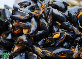 海虹里面的黑囊能吃吗,海虹里边黑色的能吃吗