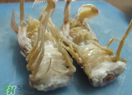 虾爬子怎么分公母图片,虾爬子怎么分公母