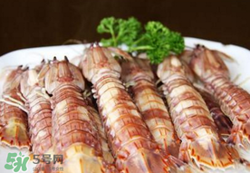 虾爬子是寒性的吗,爬爬虾是寒性的吗