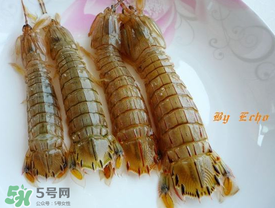 虾爬子能放多久不死,虾爬子能放多久