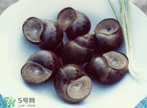 田螺不能和什么一起吃,田螺和什么相克,田螺不能和什么一起吃? 田螺不能和什么一起吃,田螺和什么相克,田螺不能和什么一起吃?