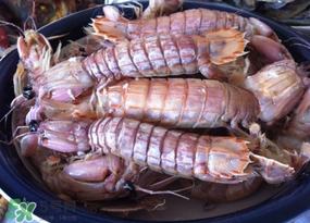 煮皮皮虾凉水还是开水,皮皮虾是用冷水煮还是用热水煮