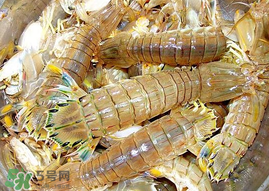 虾爬子能冷冻吗?虾爬子可以冷藏吗?,虾爬子能冷冻吗