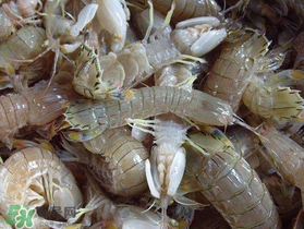 虾爬子死了能吃吗,虾爬子死多久就不能吃了 虾爬子死了能吃吗,虾爬子死多久就不能吃了