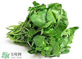 哺乳期能吃西洋菜吗?,哺乳期能吃西洋菜汤吗 哺乳期能吃西洋菜吗?,哺乳期能吃西洋菜汤吗