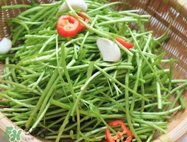 泥蒿怎么做好吃,泥茼蒿怎么做好吃