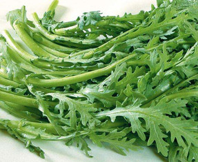 芦蒿要焯水吗?,茼蒿必须焯水吗