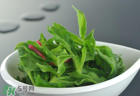 冰草能不能放冰箱,冰草可以冷冻保存吗