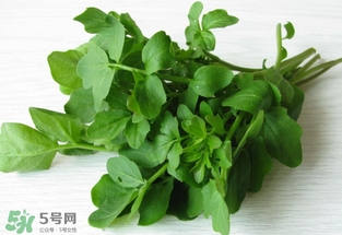 西洋菜属于寒性吗,西洋菜是寒凉的吗