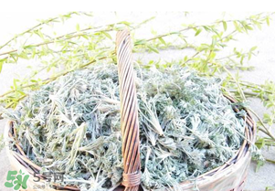 茼蒿要用水焯一下吗,茼蒿要焯水吗?