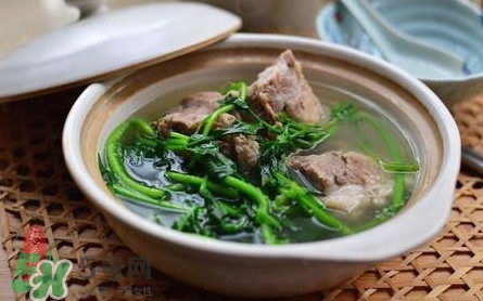 西洋菜怎么吃最好,什么是西洋菜 西洋菜怎么吃最好,什么是西洋菜