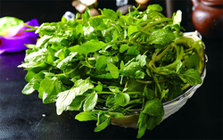 西洋菜怎么摘洗,西洋菜怎么摘洗视频